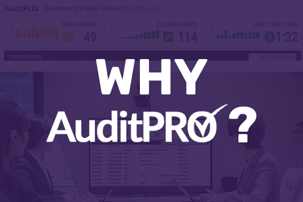 Why AuditPRO?